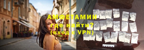 индика Ладушкин