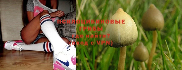 бошки Лабытнанги
