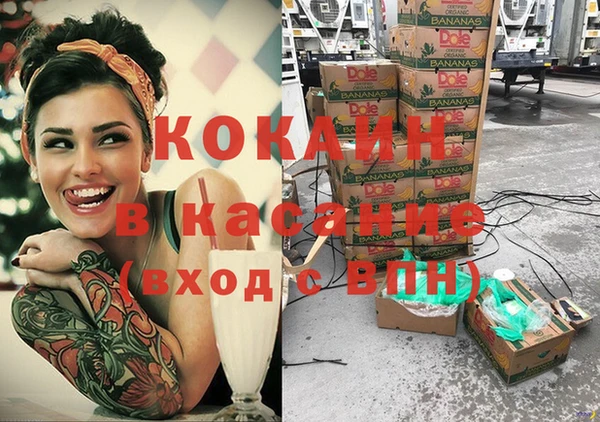 индика Ладушкин
