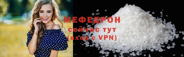 индика Ладушкин