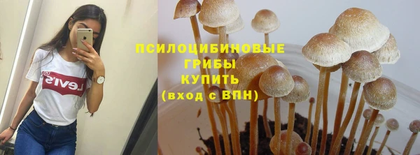 бошки Лагань