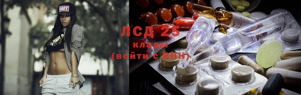 индика Ладушкин
