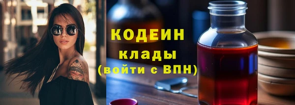 индика Ладушкин