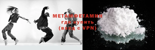 индика Ладушкин