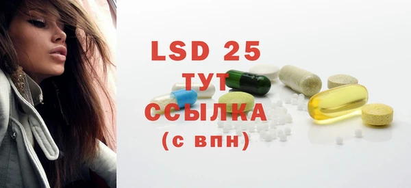 индика Ладушкин