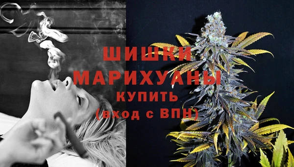 бошки Лабытнанги