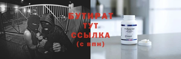 индика Ладушкин