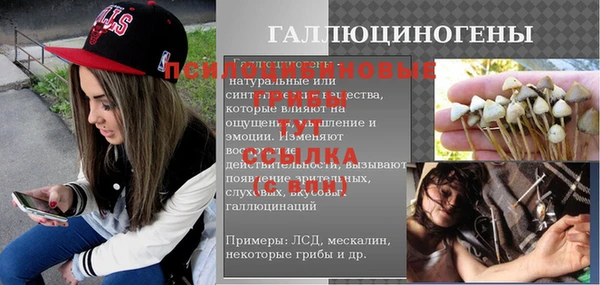 индика Ладушкин