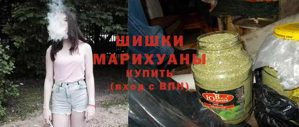 индика Ладушкин