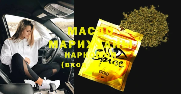 индика Ладушкин