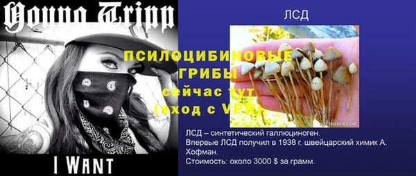 индика Ладушкин