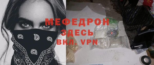 индика Ладушкин